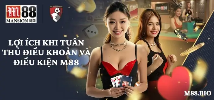 Lợi ích khi tuân thủ điều khoản và điều kiện M88